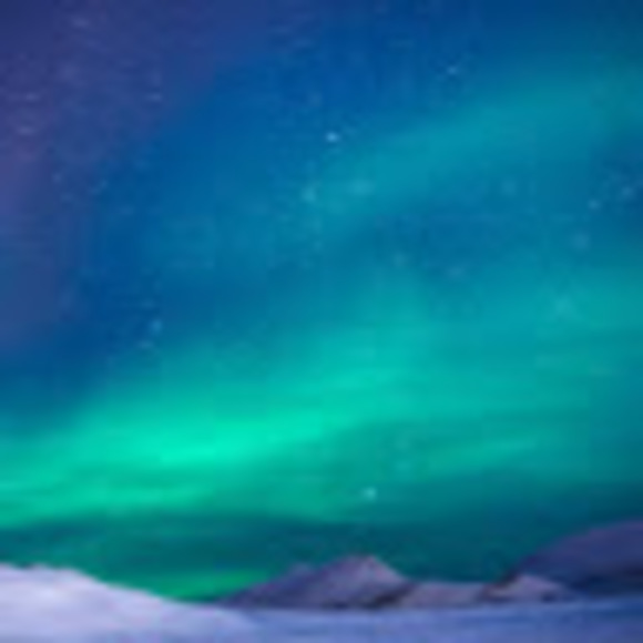 Meet your Posher, Paula - Picture 1 of 1